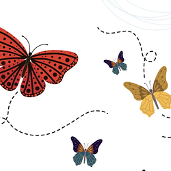 BUTTERFLY / USDG