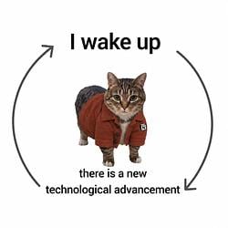 notioncat