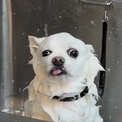 123