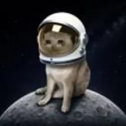 Mooncat