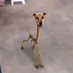 SKINNY