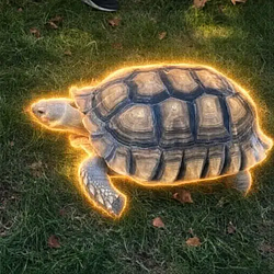SHERMAN