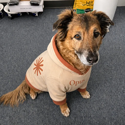OPUS