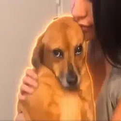 SadDog