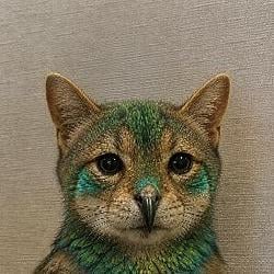 X-Animals / BNB