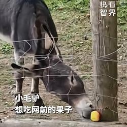 微天下