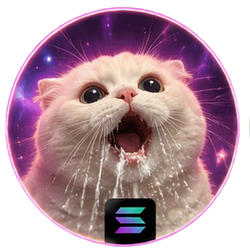 MEOW / SOL