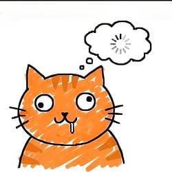 cat / SOL