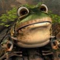 Froggy