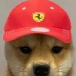 Ferrarinu