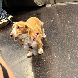 name? / SOL
