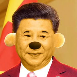 JINPOOH
