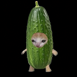 CucumCat / SOL
