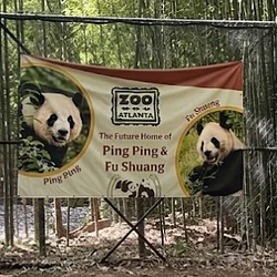 PPF