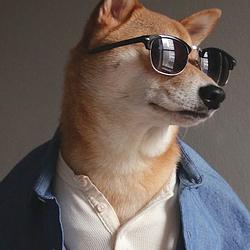 DOGFUCK