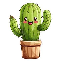 CACTUS / SOL