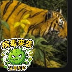 币安虎 / BNB