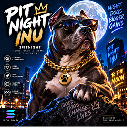 PITNIGHT