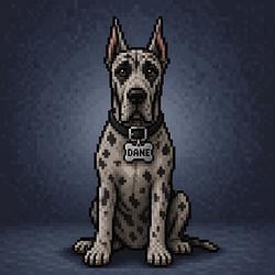 DANE