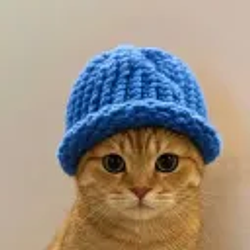 CATWIF / SOL