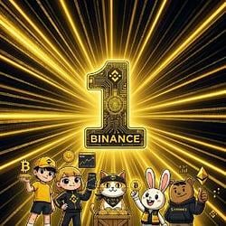 1coin / USDT 70%