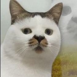 KET