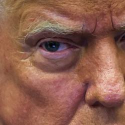 Trump / SOL