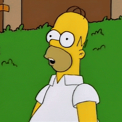 Simpson / SOL