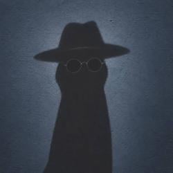 INCOCKNITO