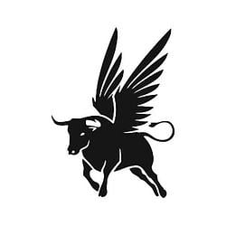 FLY BULL / SOL