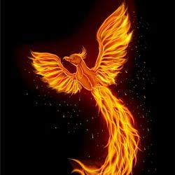 PHENIX / SOL