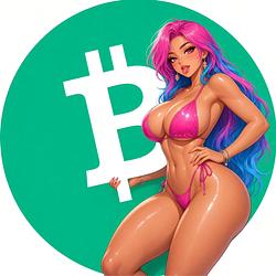 BCHUSD token