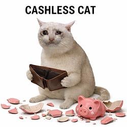 CashlessC / SOL