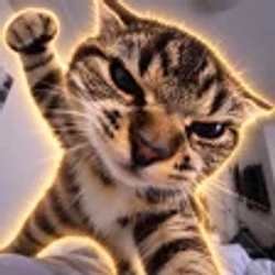 TOMMIE
