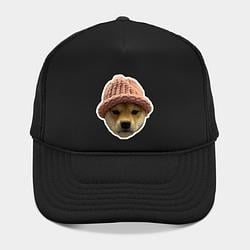 WIFDOG
