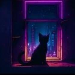 Catroom2077 / SOL