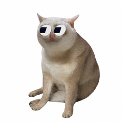 FomoCash