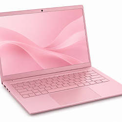 LAPTOPGIRL