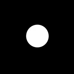 NONE / SOL