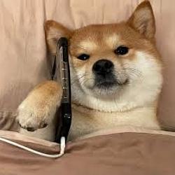 INU