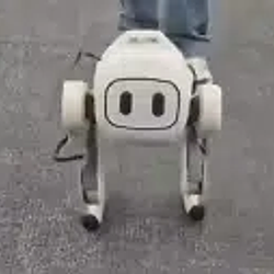 Qmini
