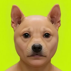 HI