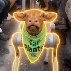 The Robot Cow