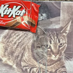 KitKat