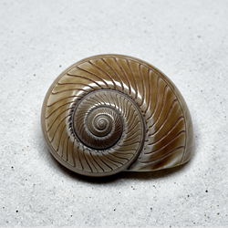 SPIRAL