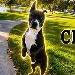 ChooChoo / SOL