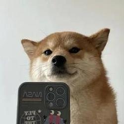 Inu