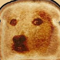 TOAST