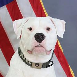 Axel