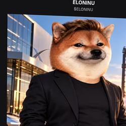 ELON INU